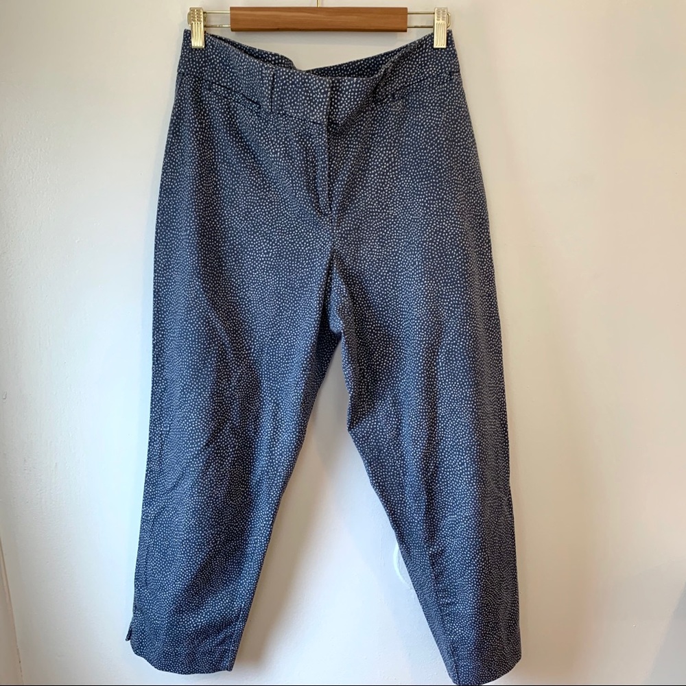 Ann Taylor LOFT Riviera Pants